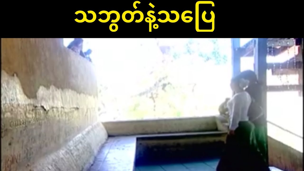 သဘွတ်နဲ့သပြေ