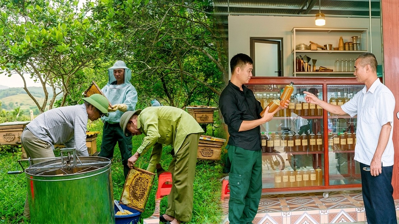 Компания Trieu Duc собирает мед &mdash; сладкая награда после нескольких дней ухода.