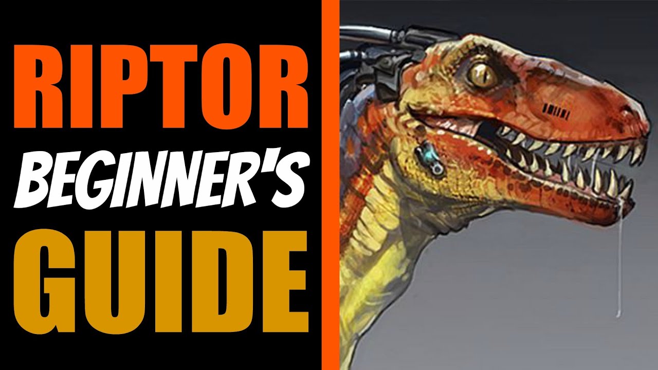 RIPTOR Beginner's Guide - Killer Instinct - All You Need To Know!