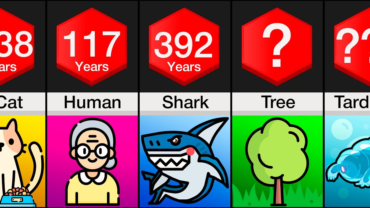 Comparison: Oldest Living Things