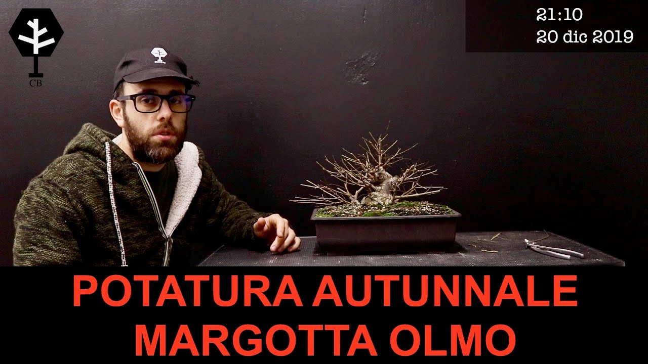 POTATURA AUTUNNALE MARGOTTA OLMO CB 2019