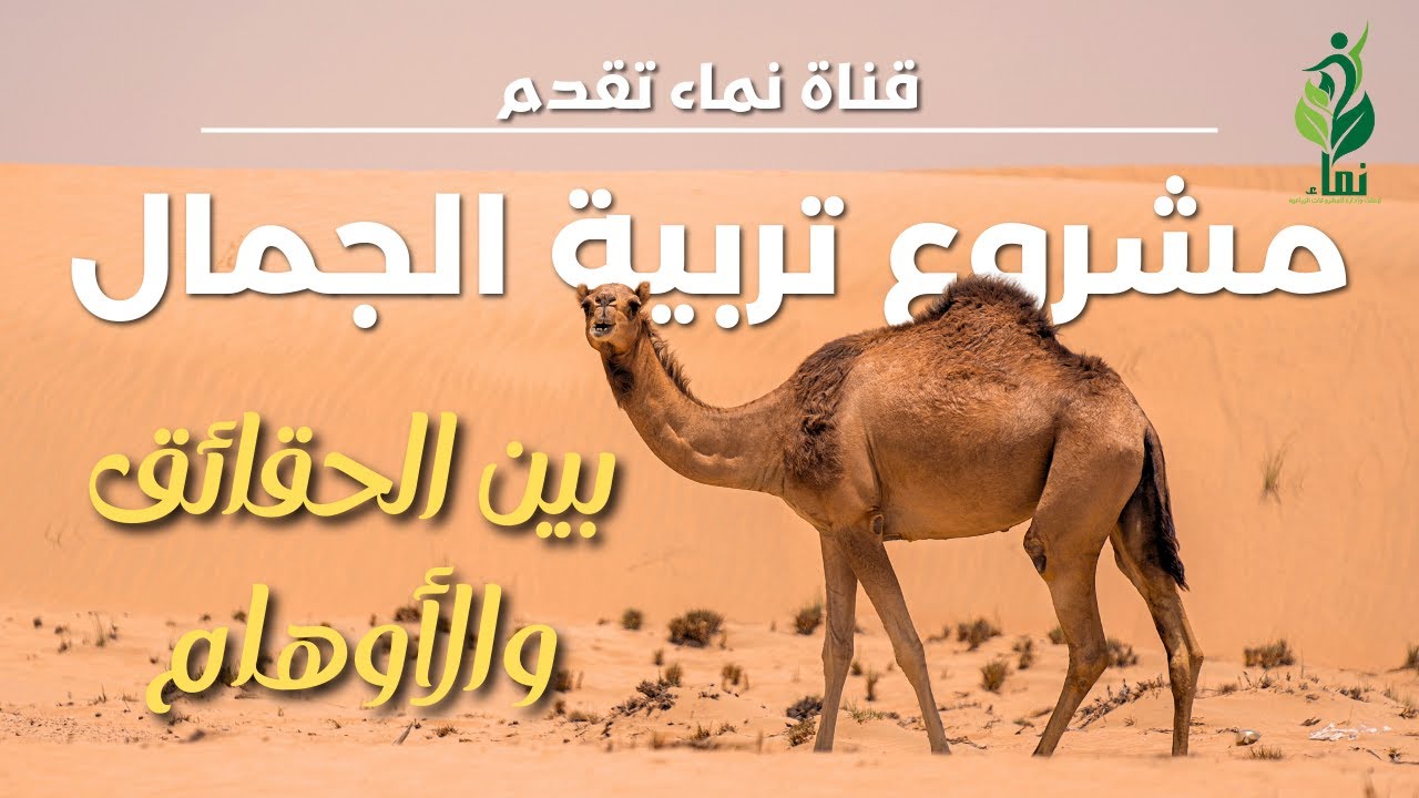 مشروع تربية الجمال بين الحقائق والأوهام