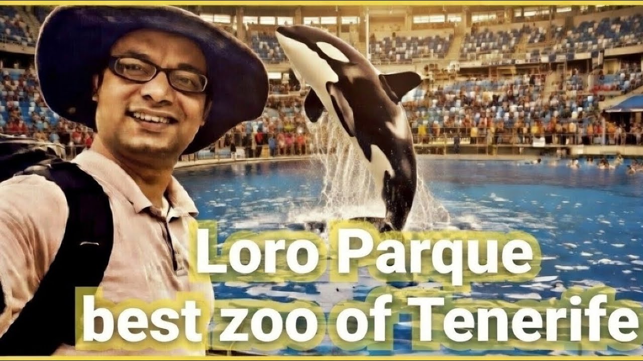 Loro Parque | Exploring Canary Island🐬🦜| Animal Embassy |Best Zoo in the World | Santa Cruz Tenerife