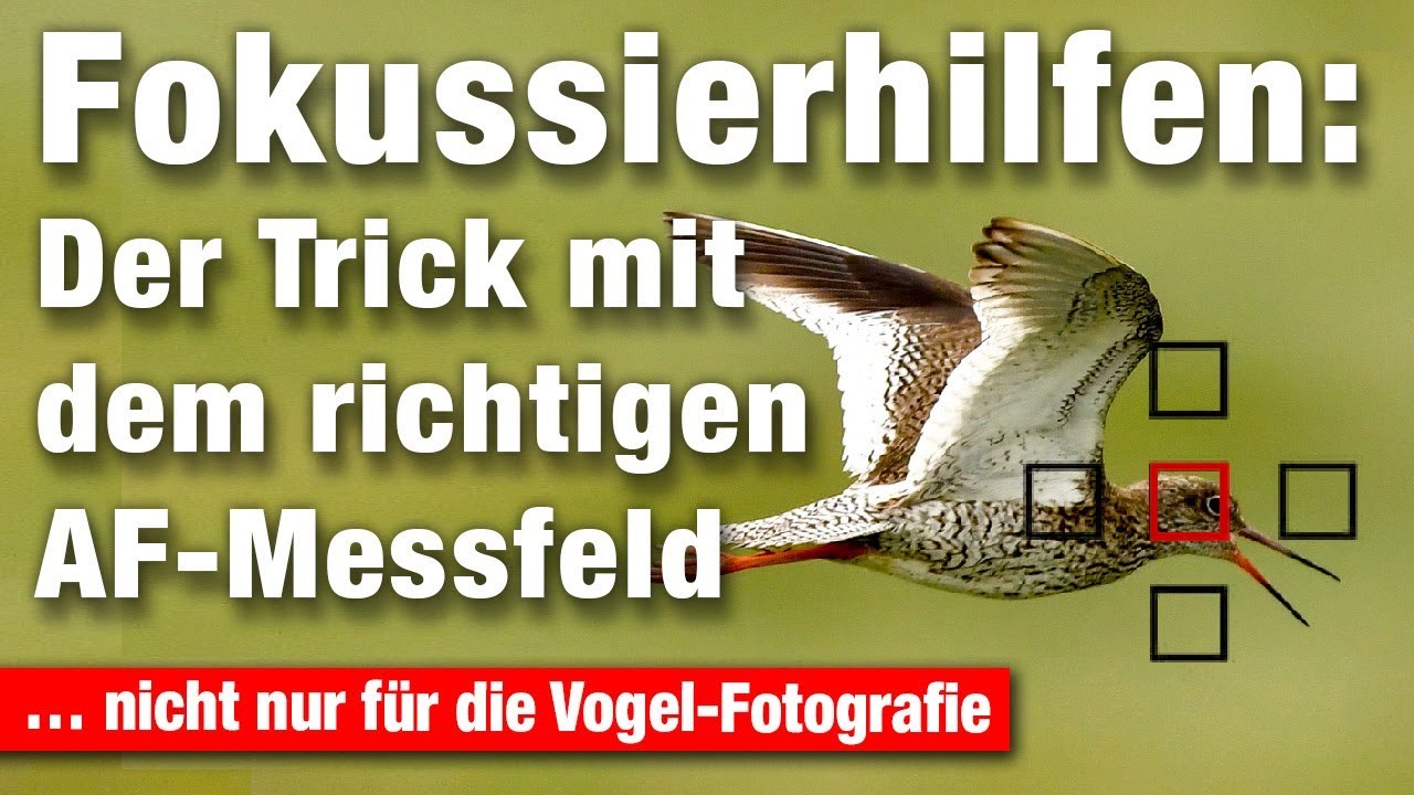 AF-Messmethode on-the-fly wechseln mit der richtigen Tastenbelegung an deiner Kamera