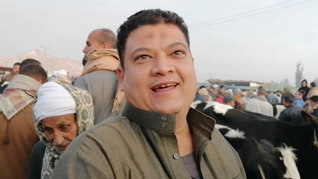 اسعار عجلات البقر تحت العشر من سوق الثلاثاء بالزقازيق بتاريخ ٧ يناير ٢٠٢٥