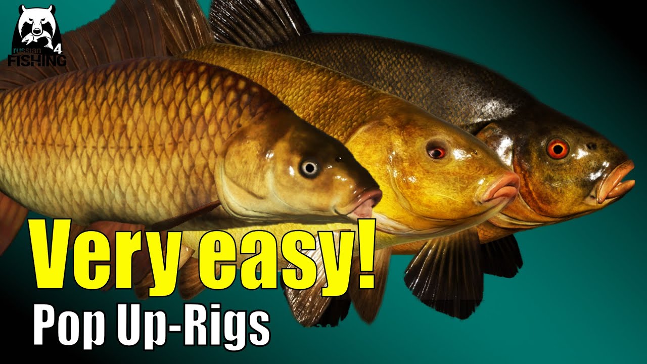 Russian Fishing 4 &ndash; Copper Lake &ndash; Corn Only! Very Simple with Pop-Up Rigs #rf4