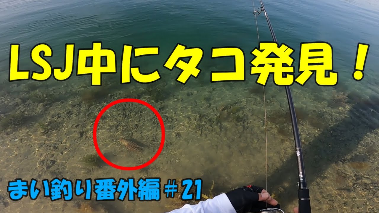 まい釣り番外編＃21 【ショートムービー】LSJ中に嬉しいハプニング！