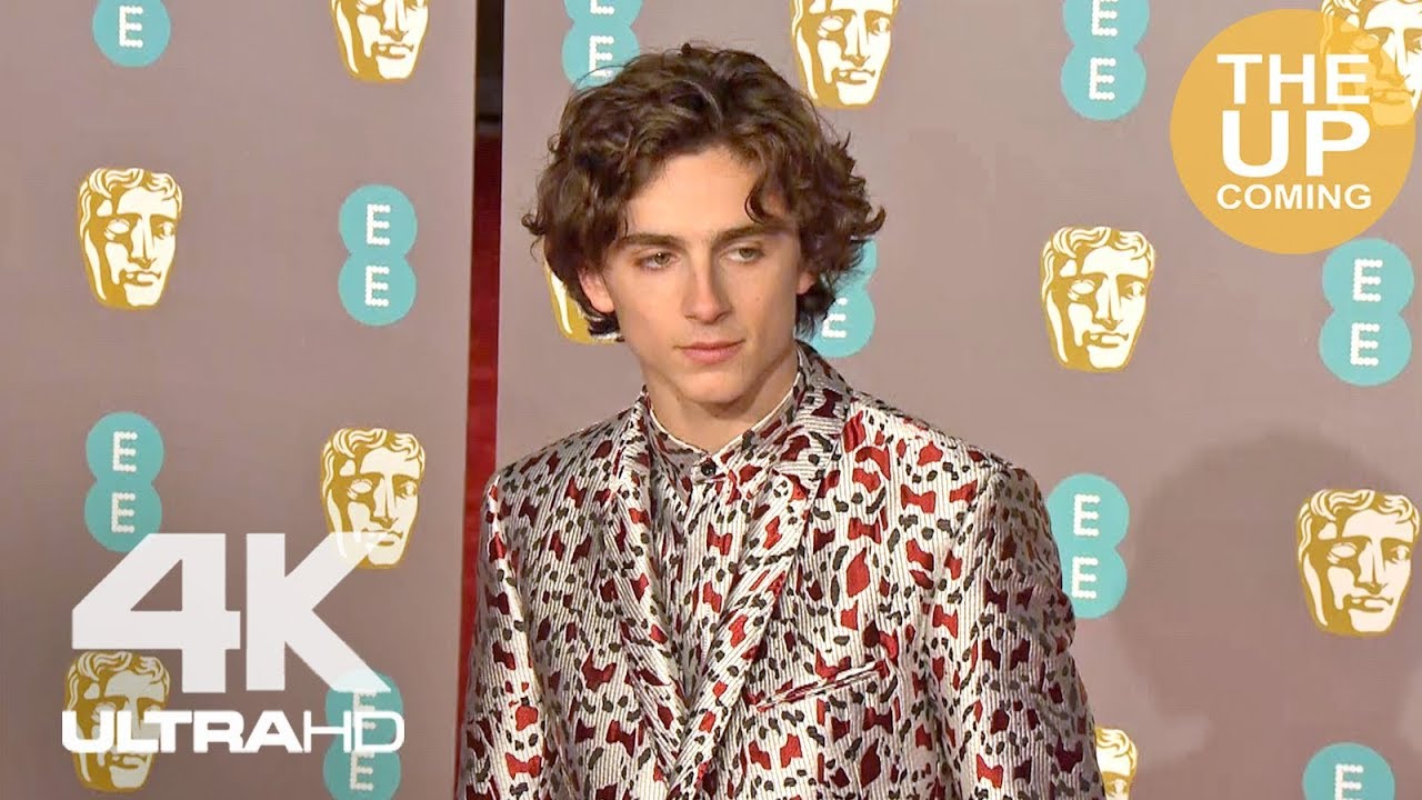 Timothée Chalamet at BAFTAs: Arrival, red carpet, photocall for Beautiful Boy
