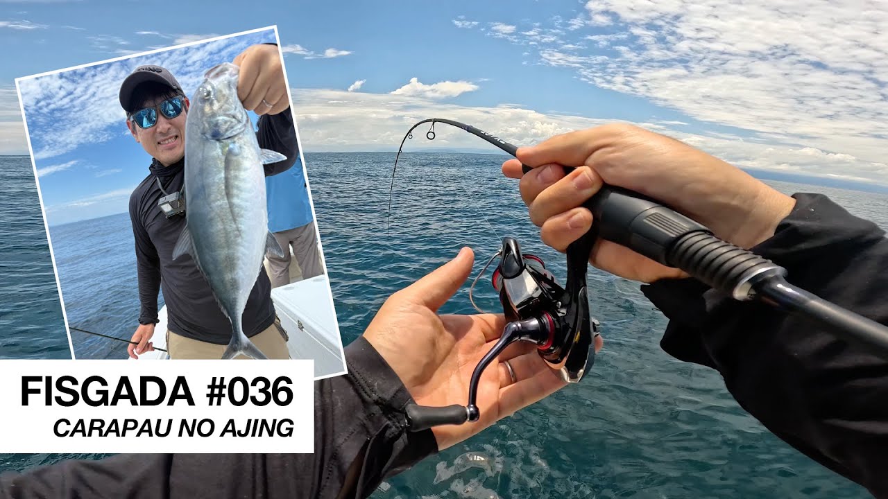Fisgada #036 | CARAPAU NO EQUIPAMENTO DE AJING! Pescaria.