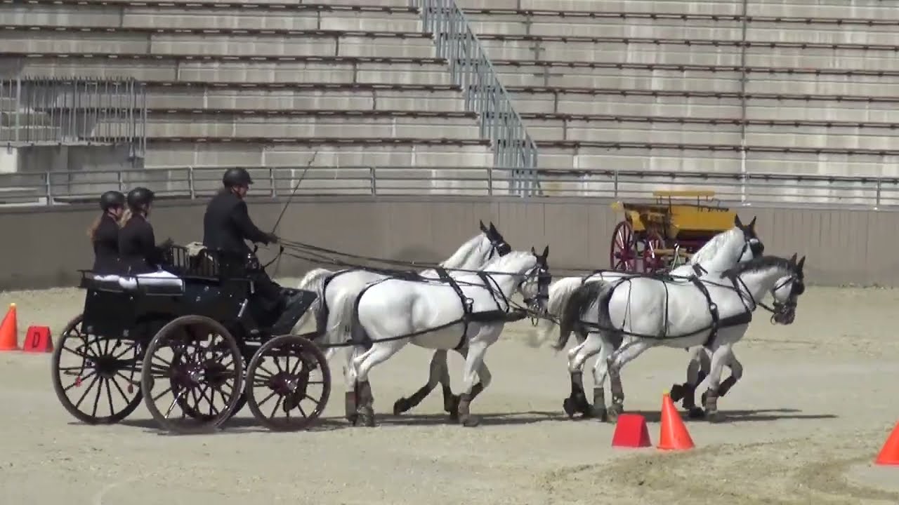 S&aacute;ndor Simon T&Oacute;TH  (HUN) - CAI***, H4, Szilv&aacute;sv&aacute;rad (Hungary), cones, 17.07.2022