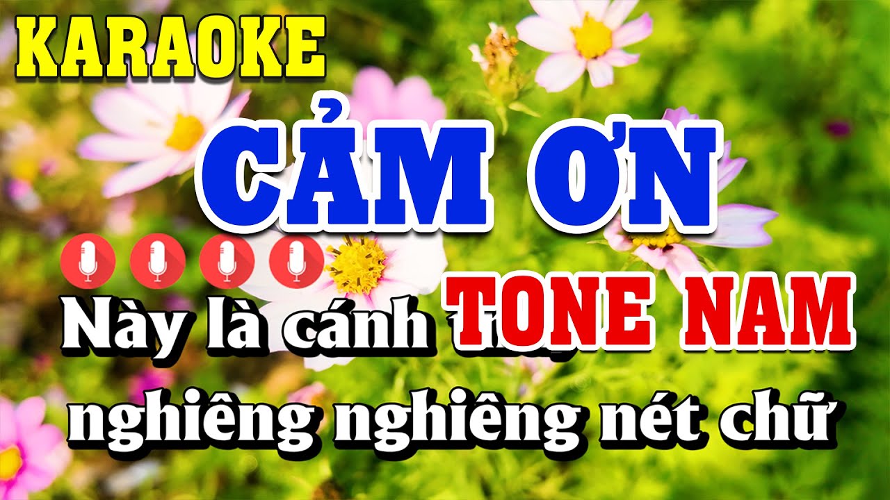 Cảm Ơn Karaoke Tone Nam ( C#m ) Beat Chuẩn | Linh Linh Karaoke