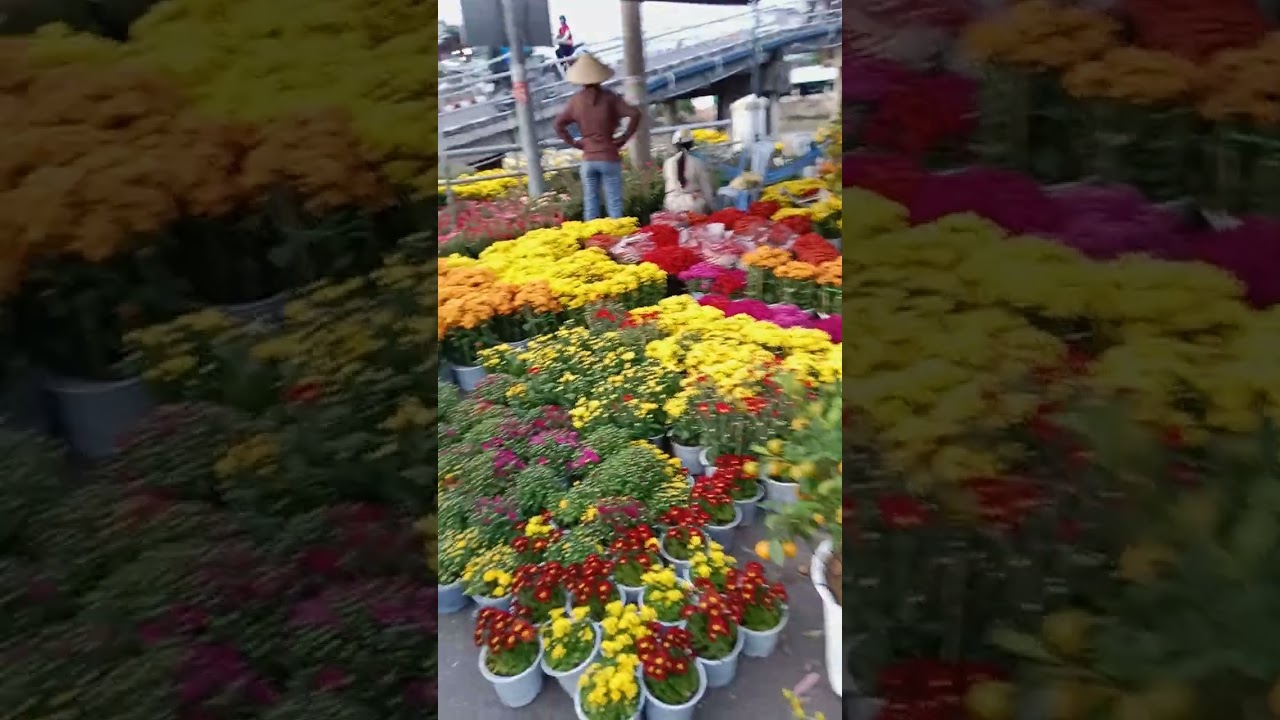 Chợ Tết quê Em chỉnh và diểm Hương khờ 