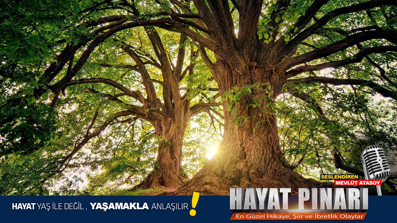 HANİ SÖZ VERMİŞTİK