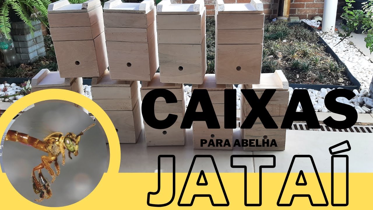 Como eu faço as caixas para abelhas Jataí