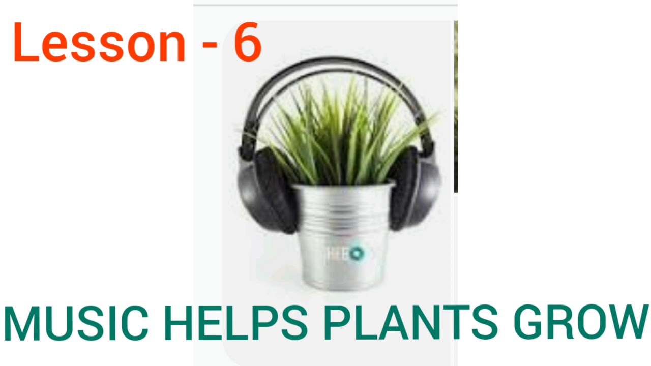 #englishclass8th,#musichelpsplantsgrow,
