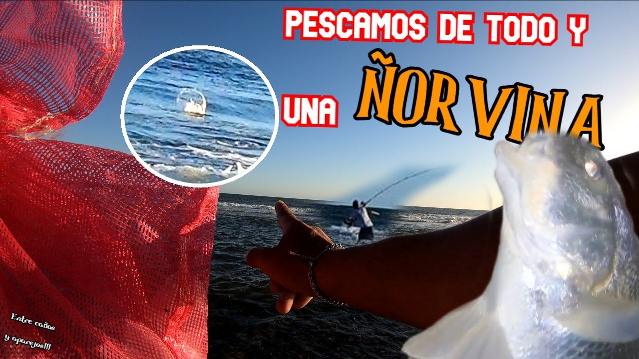 Aca sacamos de todo hasta una GRAN ÑORVINA‼️🔥 pesca y cocina/San Luis,UY/@Entre Cañas y Aparejos - Pesca y Aventura