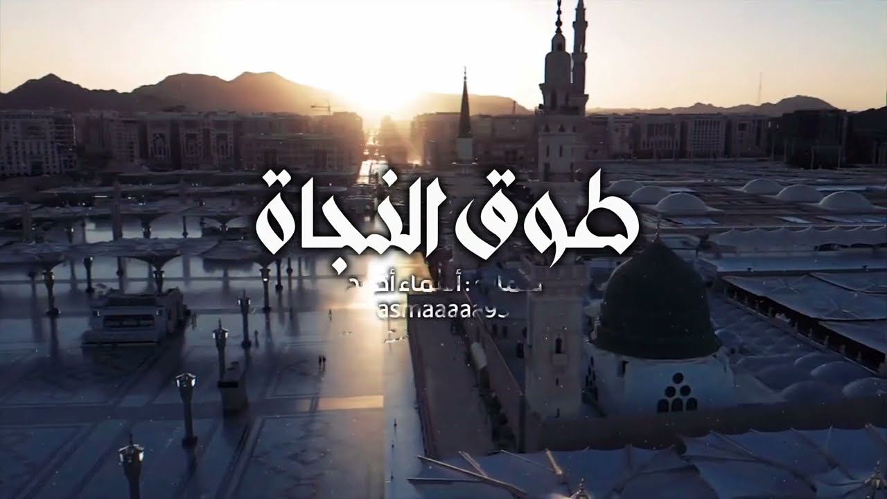 طوق النجاة | كلمات جميلة عن النبي ﷺ | محمد عباس #محمد_عباس_m3bbass