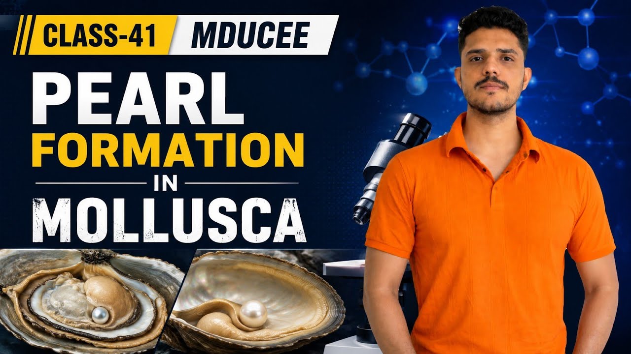 Pearl formation in mollusca  #mducee2023  #csirnetjrf #csirnet  #lifesciences #mducee lec-41 #mdu
