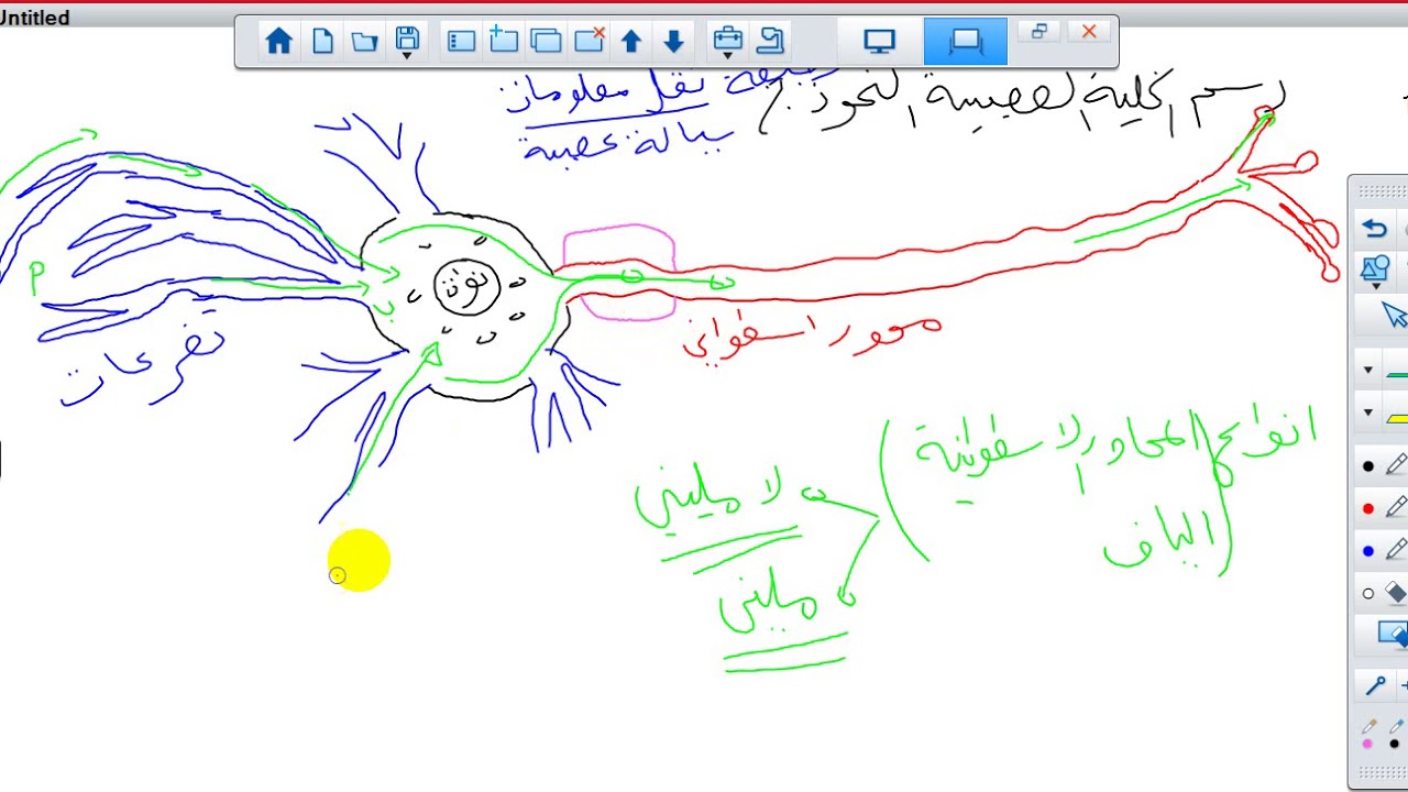 الاحياء - الاستاذ ابراهيم نور - الاول ثانوي -الجهاز العصبي - الفاضلية