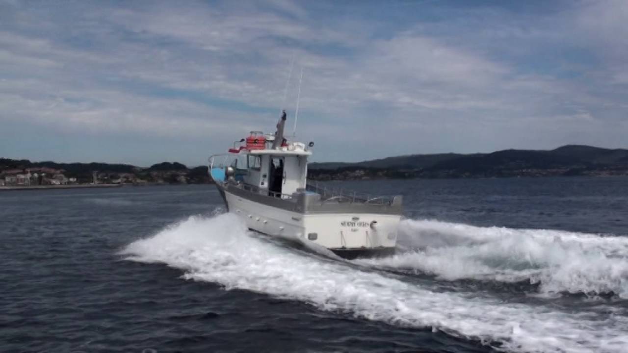 Sabor 995 fisher