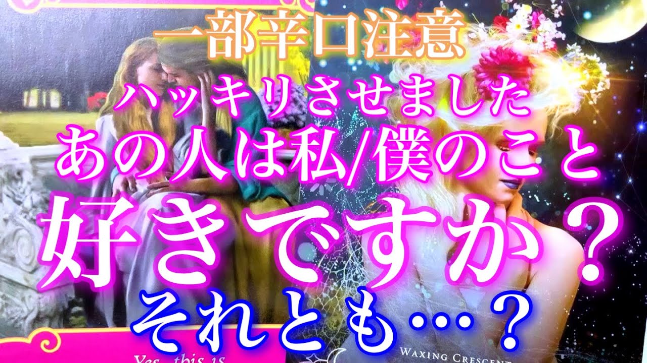 💕一部辛口⚠️ハッキリとさせました🐉あの人は私/僕のことはっきり言って好きですか?どんな感情ですか?🦋