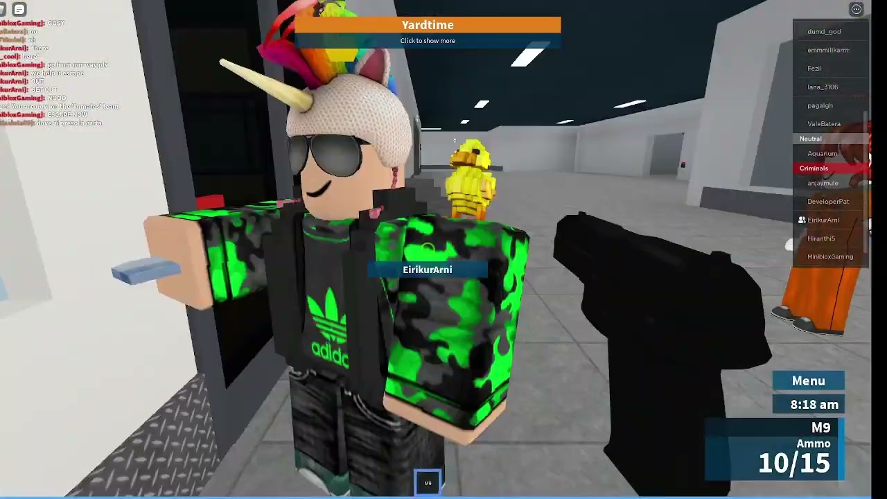 CRIMINAL RAID