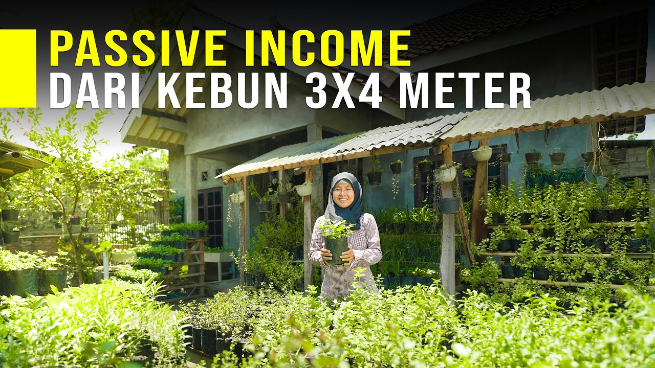 Ubah Lahan Sempit Jadi Duit Hidup Jadi Tenang