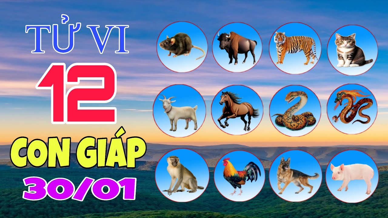Chi Tiết Tử Vi Của 12 Con Giáp Ngày 30/01/2026 Về Vận Mệnh, Sự Nghiệp, Tài Lộc Và Con Số May Mắn