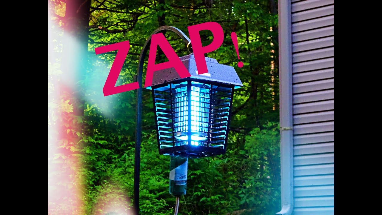 Bug Zapper - Flowtron 1/2 Acre BK15D Review