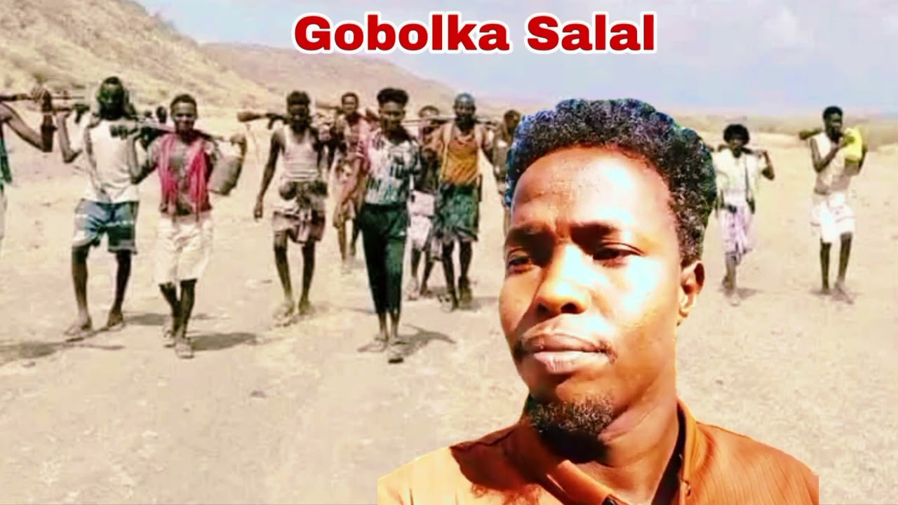 Update: wararka dagaalka gobolka salal👇👁️