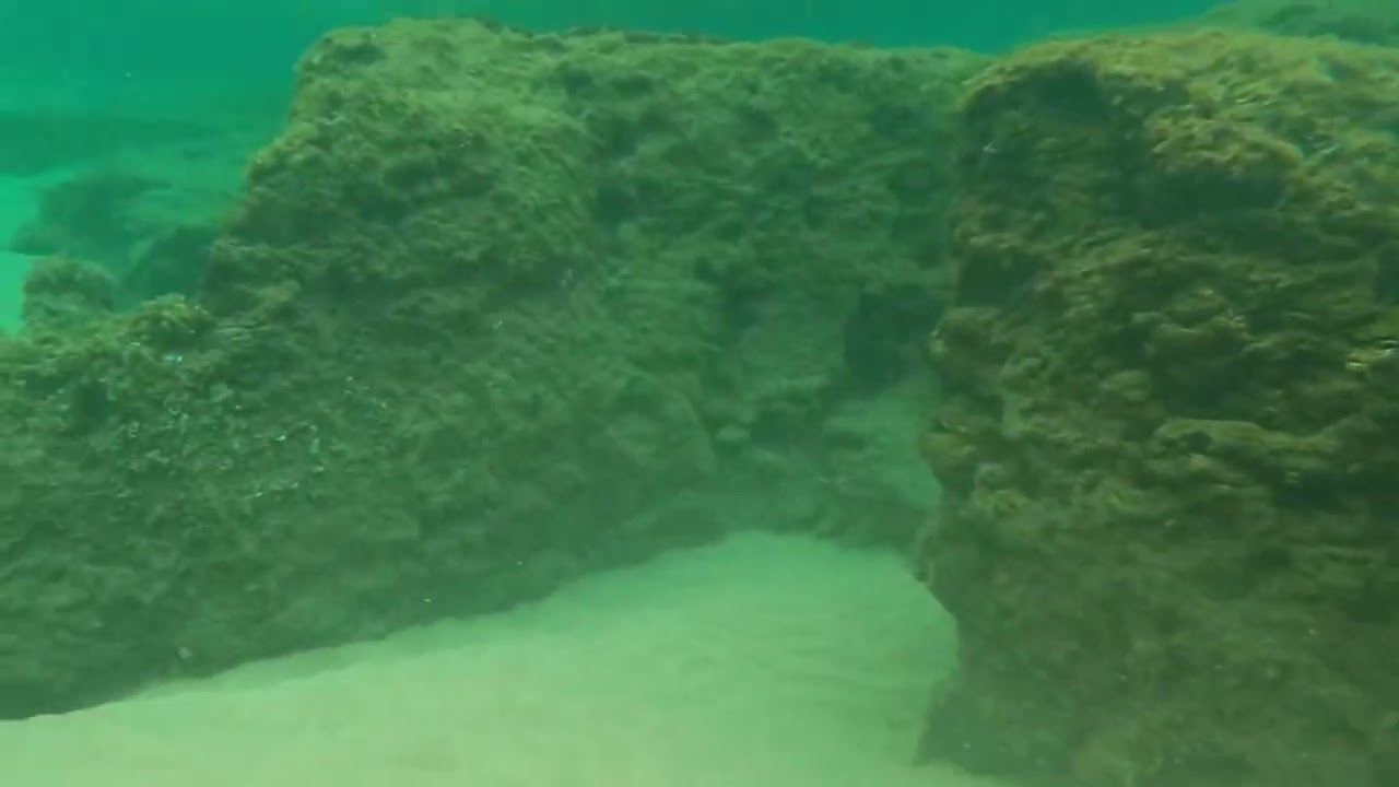 Mabibi Snorkel