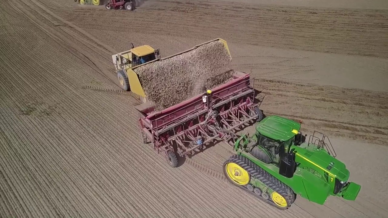 Spudnik 8 Row Potato Planters | Planting Potatoes