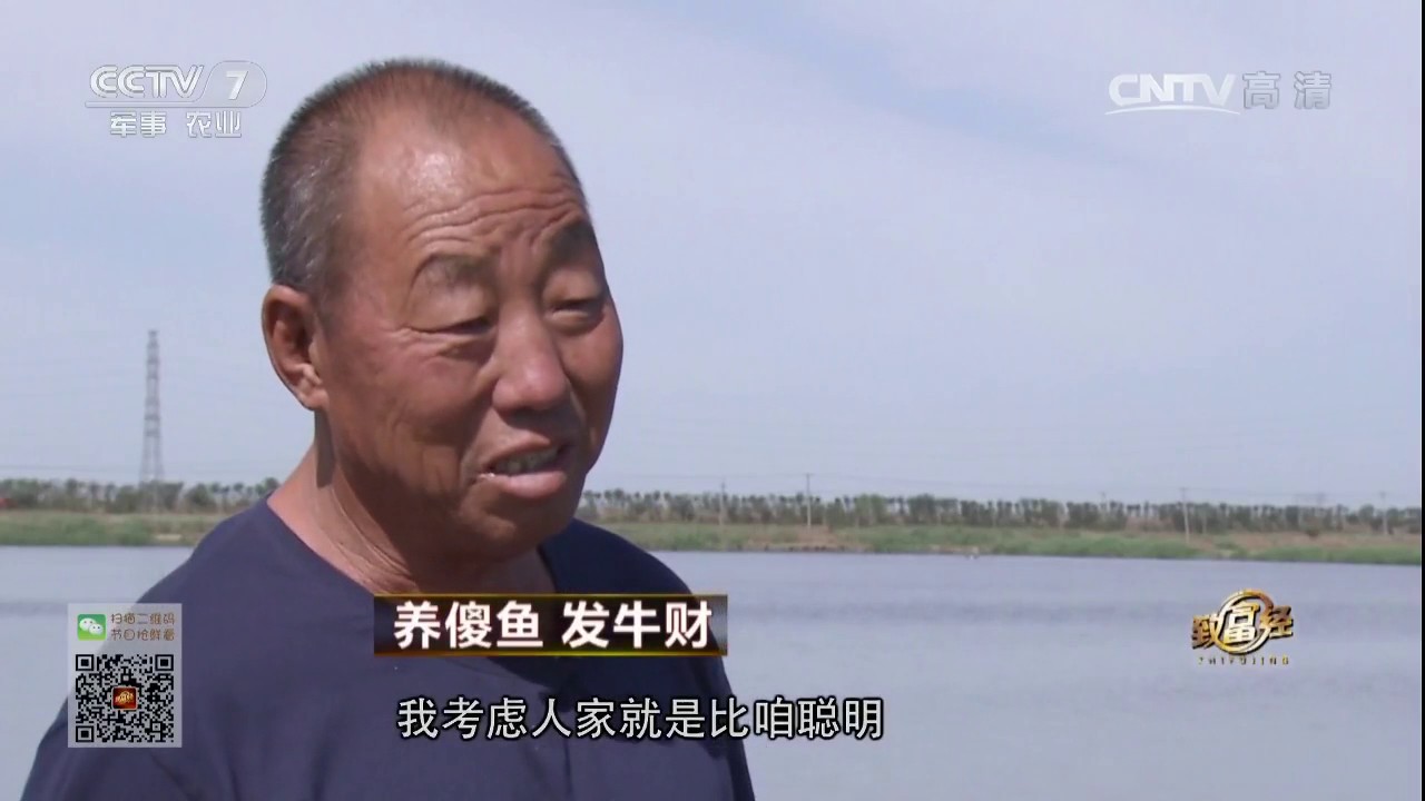 20170615 致富经  养傻鱼 发牛财