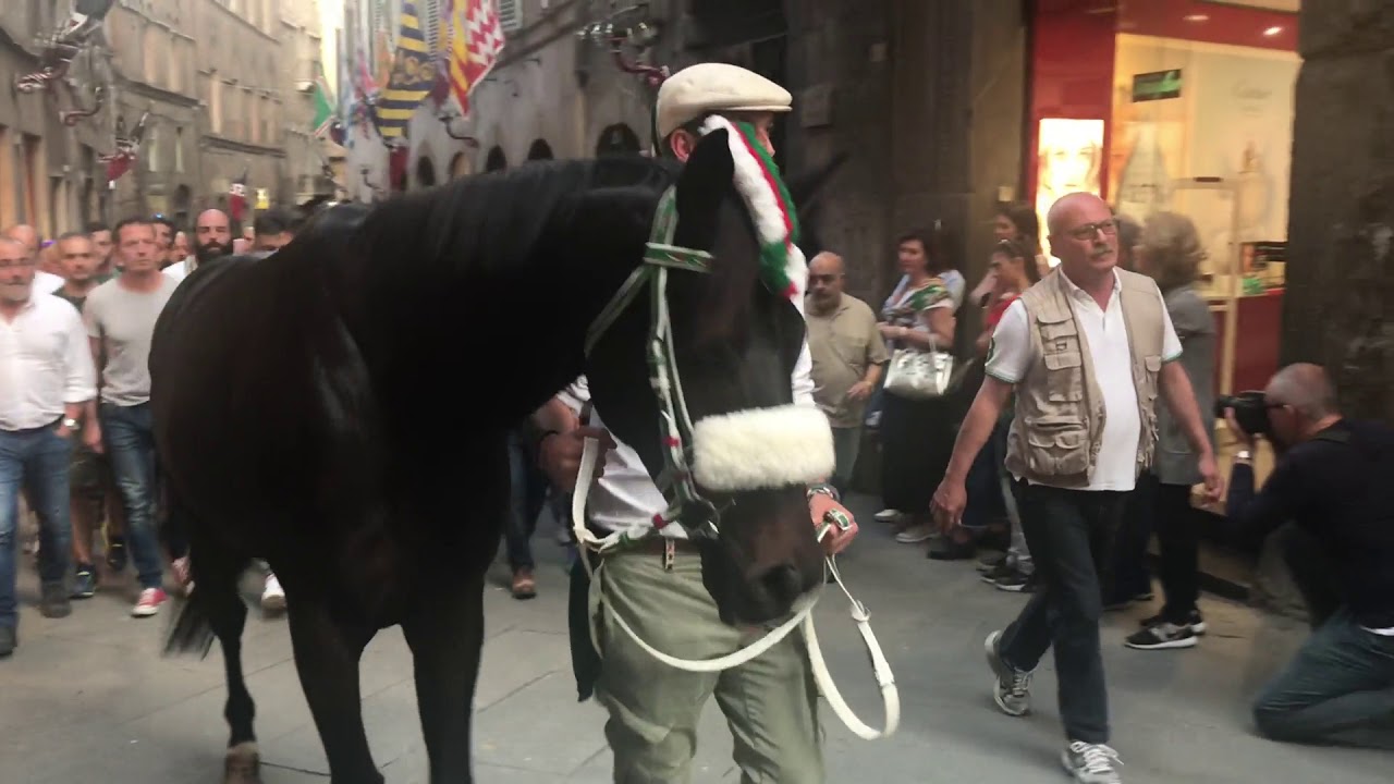Oca, palio straordinario 2018