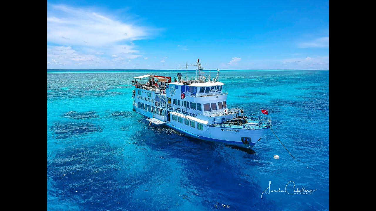 Diving Tubbataha Reef Philippines