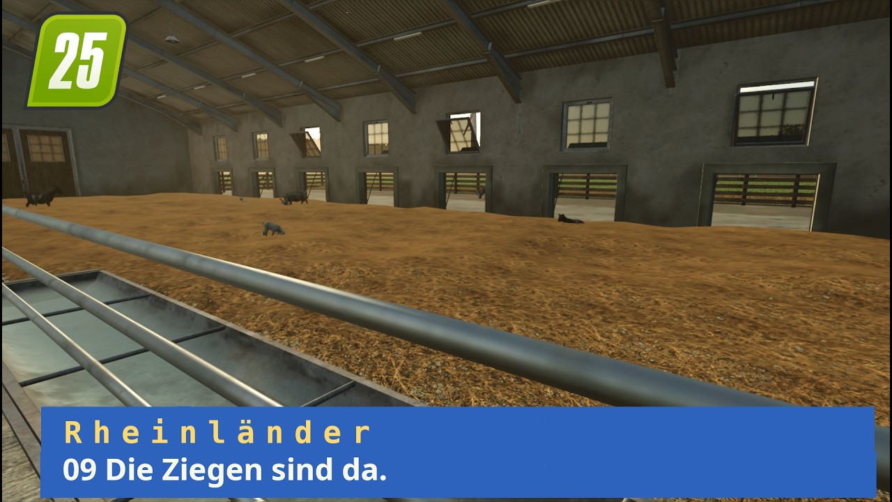 LS25 Rheinländer - 09 Die Ziegen sind da.