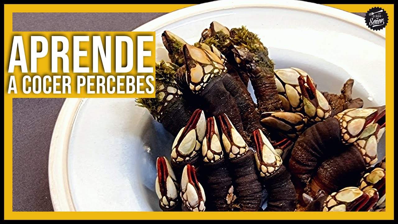😋 CÓMO COCER PERCEBES fácil 🌊 ¡EN 1 MINUTO!