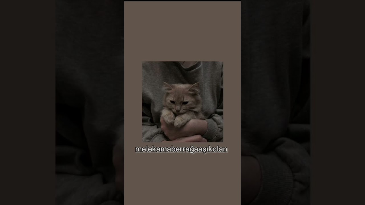 Aynur aydın-bi dakika ( slowed )