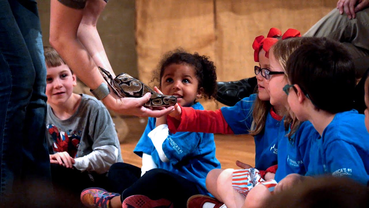 Learning Expeditions: Rethinking Field Trips