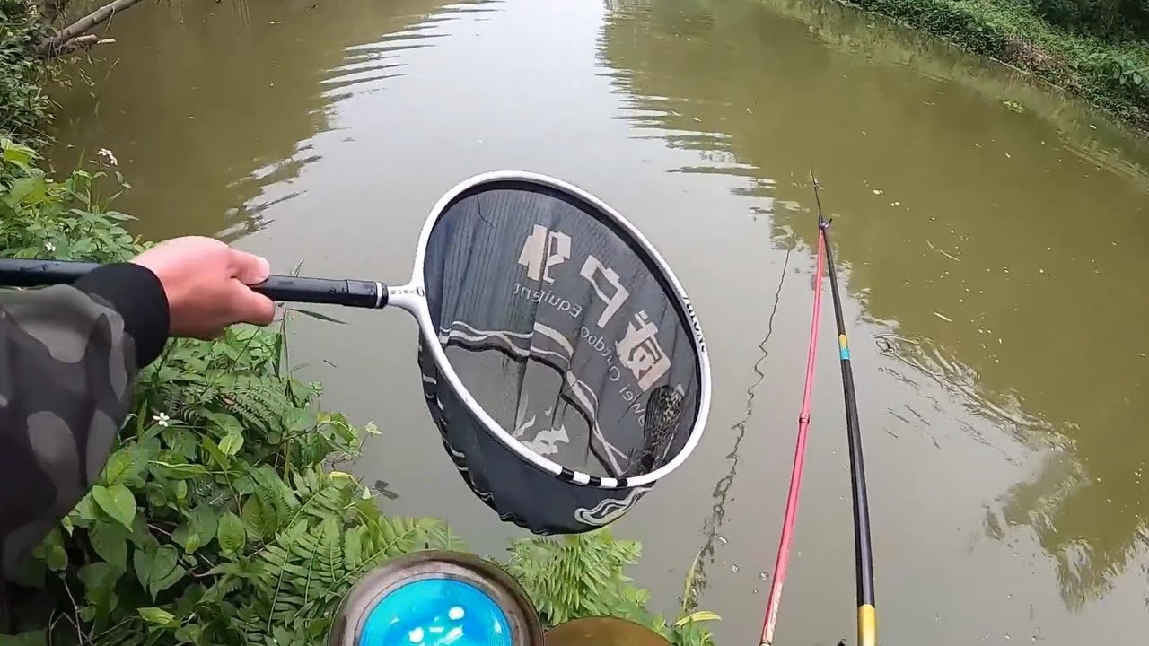 新竿開光就碰到大鱂魚，大魚王綜合到底抽了我多少運氣，釣懵了！【野釣長空】