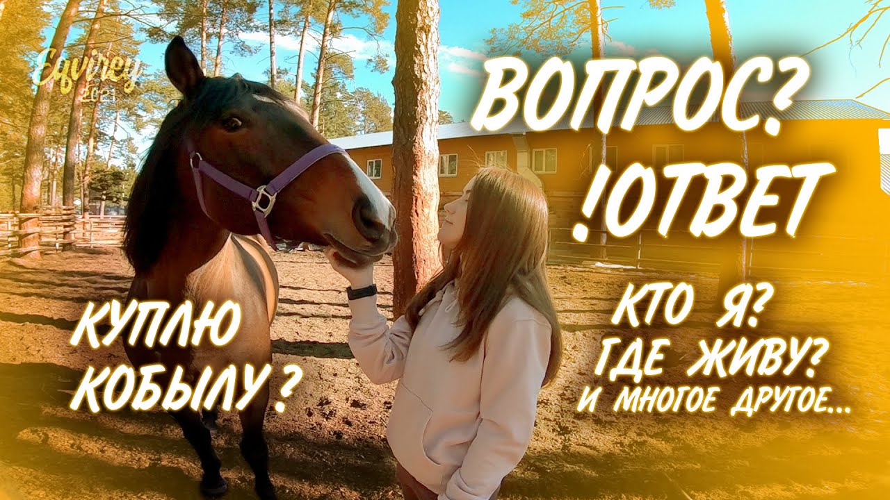 ВОПРОС - ОТВЕТ конная версия | ИНФО |GoPro