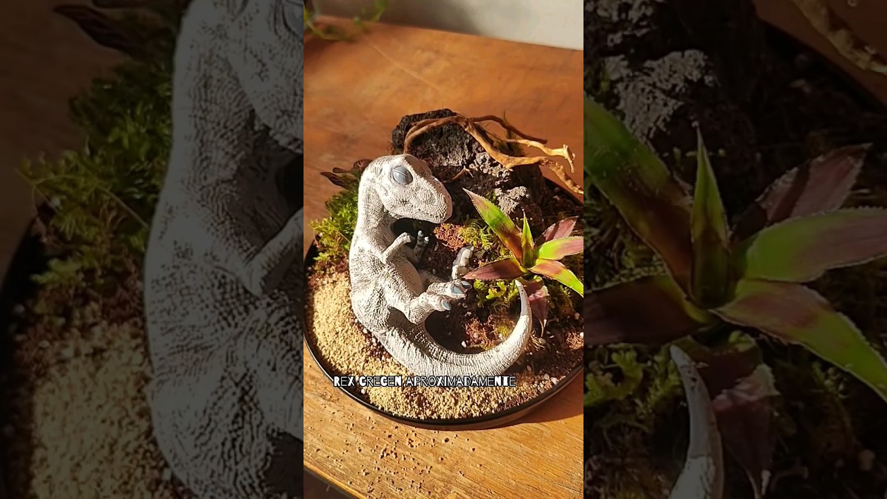 Plantando un terrario T-REX 🦖🌿 
