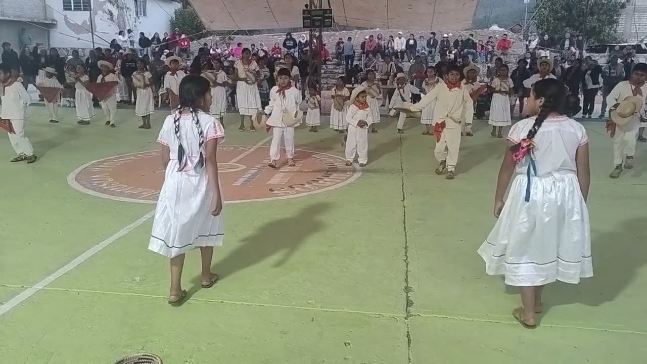 Bonita Danza de Yosonotú Tlax. Oax.