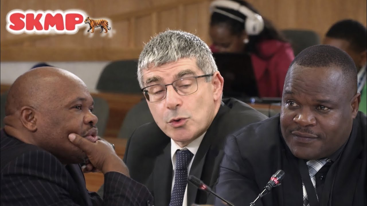 WATCH | Sgt Nkosi contradicts General Sibiya over Khawula arrest warrant claim