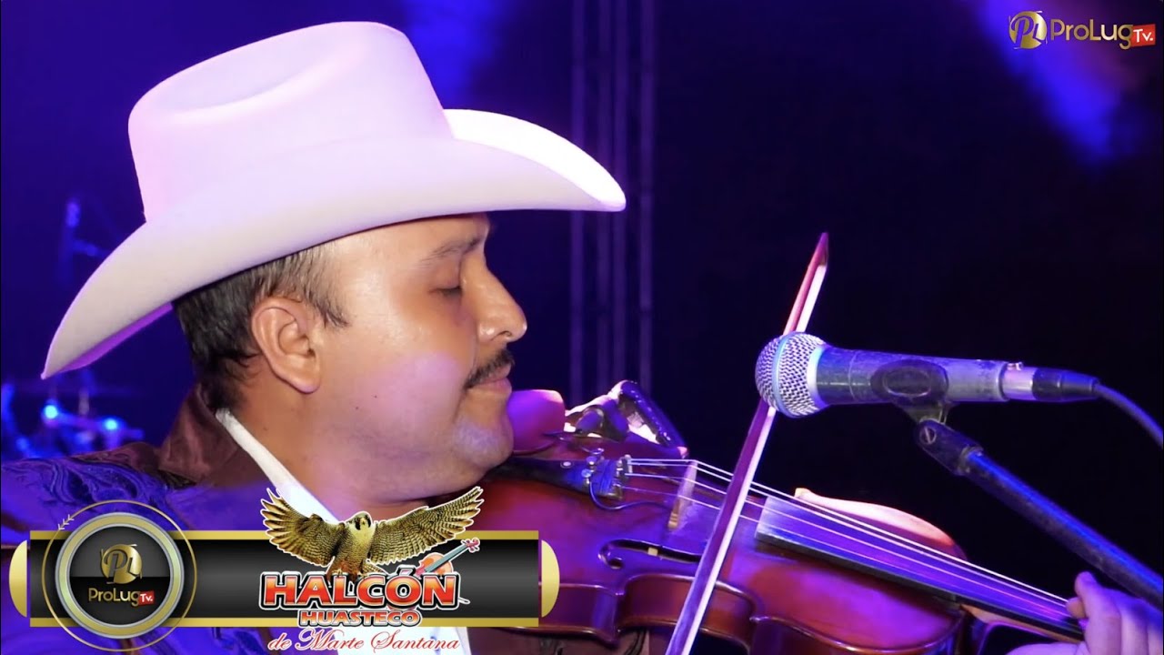EL NOVATO Y ME DIJO ERES TU - HALCON HUASTECO (EN VIVO)