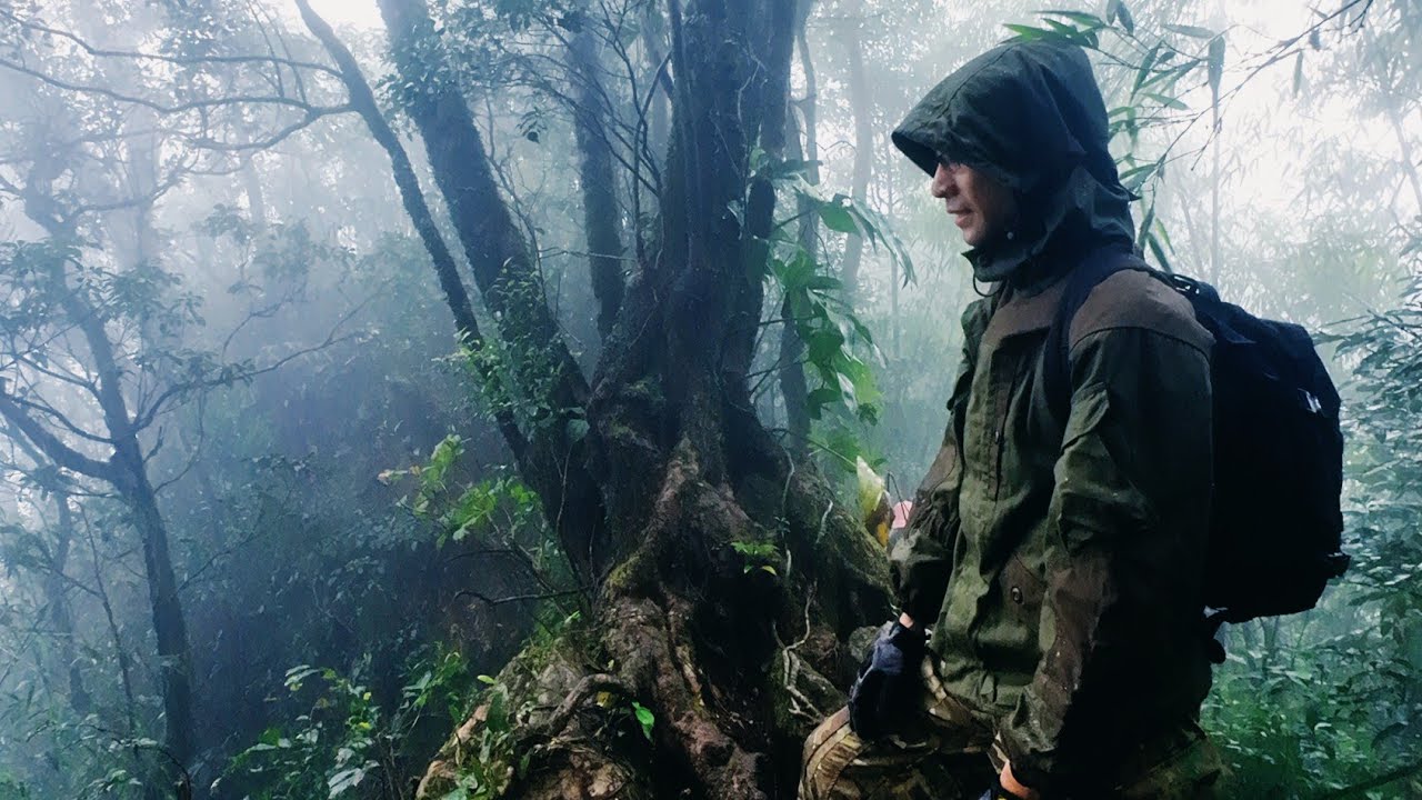 Khám phá cung đường trekking 3 đỉnh Tam Đảo cực thú vị - Vlog khai chân 2026