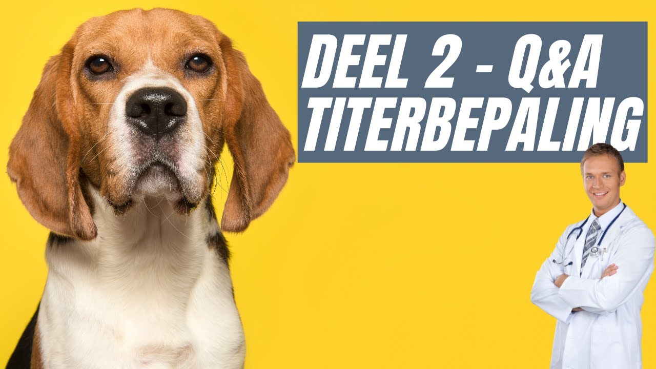 Vaccinatie vs Titerbepaling met dierenarts Tannetje Koning - deel 2