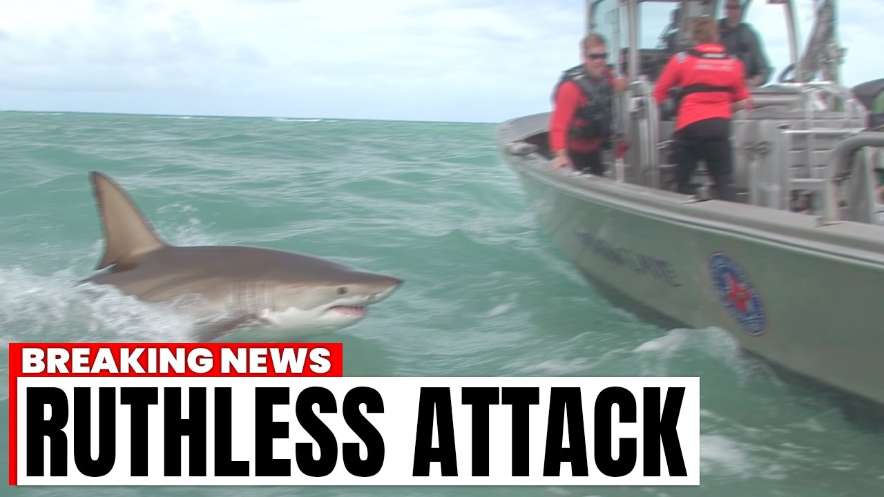 Massive Great White Shark ATTACKS Coast Guard During Rescue Operation