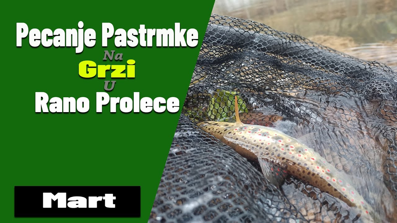 Pecanje Pastrmke na Grzi u Rano Prolece