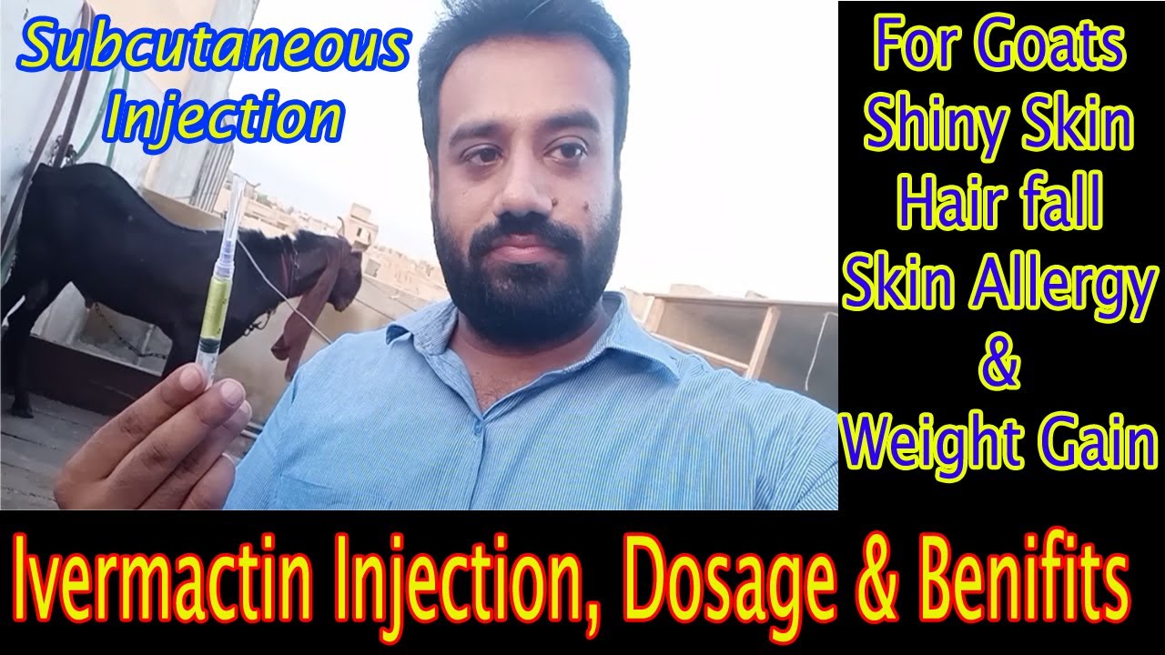 Ivermactin Injection | Goat Skin disease Treatment | Khaal Main injection lagane ka tareeqa